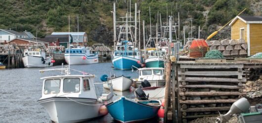 Governo federal anuncia $957,8 milhões para pequenos portos de pesca no Canadá