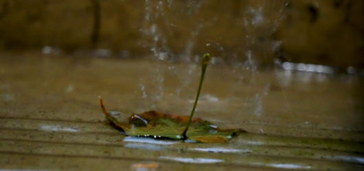 Tempestade deixa milhares sem eletricidade e provoca queda de árvores e cabos elétricos em Toronto